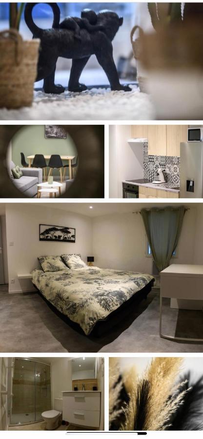 Le Boldieu- Duplex Beziers -Allee Paul Riquet- Wifi- Tv Connecte Exteriér fotografie