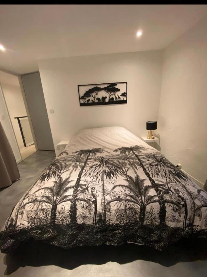 Le Boldieu- Duplex Beziers -Allee Paul Riquet- Wifi- Tv Connecte Exteriér fotografie